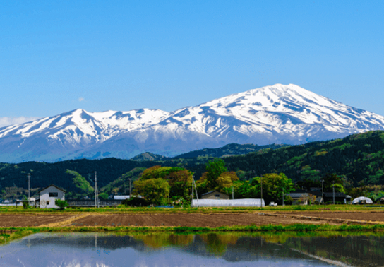 地方特化の<br />
クラウドインテグレーター